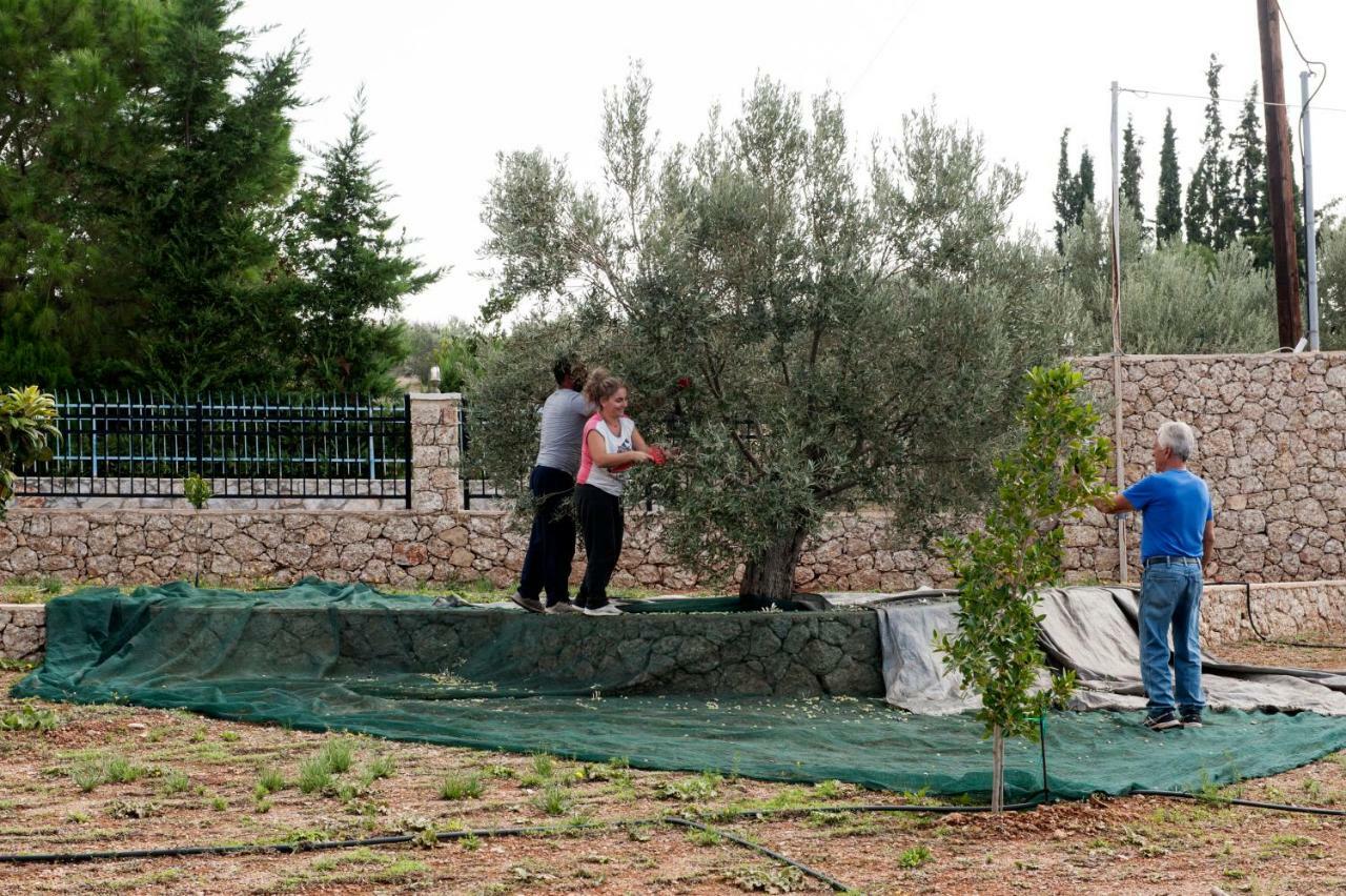Villa Hermes Porto Heli Luaran gambar